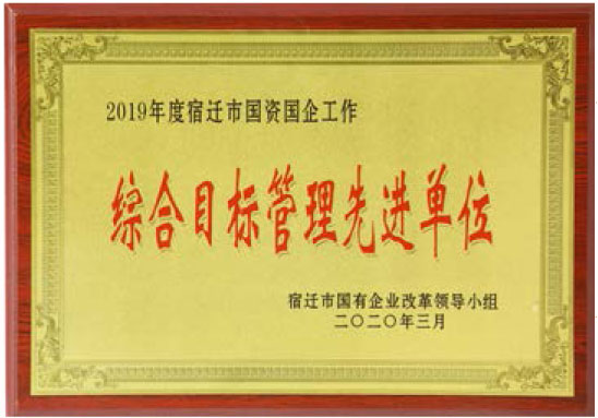 2019年度宿遷市國資企業(yè)工作先進單位